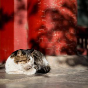 含紧一点h楼梯边做边走动漫
